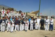 همایش بزرگ پیاده روی جامعه ورزشی تکواندو در اردبیل