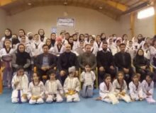 جشنواره فرهنگی و ورزشی تکواندو در شهرستان نیر برگزار شد