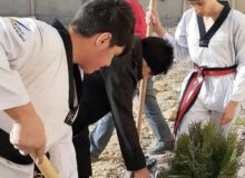 کاشت نهال درخت به یاد شهدا در محوطه خانه تکواندو استان اردبیل