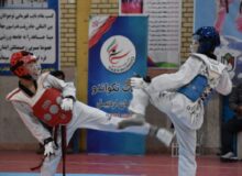 مسابقات کیوروگی ویژه نونهالان استان در اردبیل برگزار شد